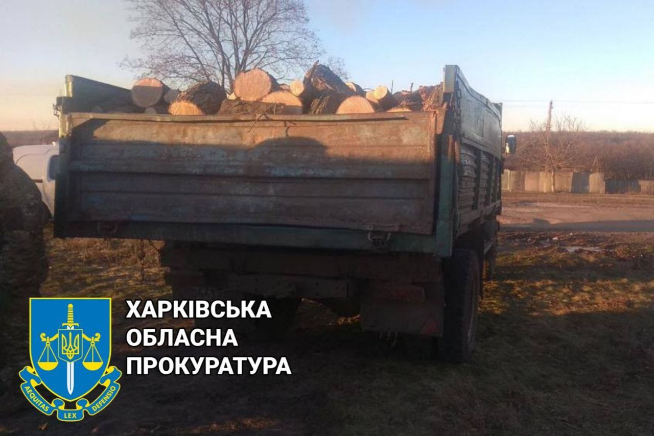 Погубили дерев на мільйон гривень та чекають на суд "чорні" ліоруби. Новини Харкова